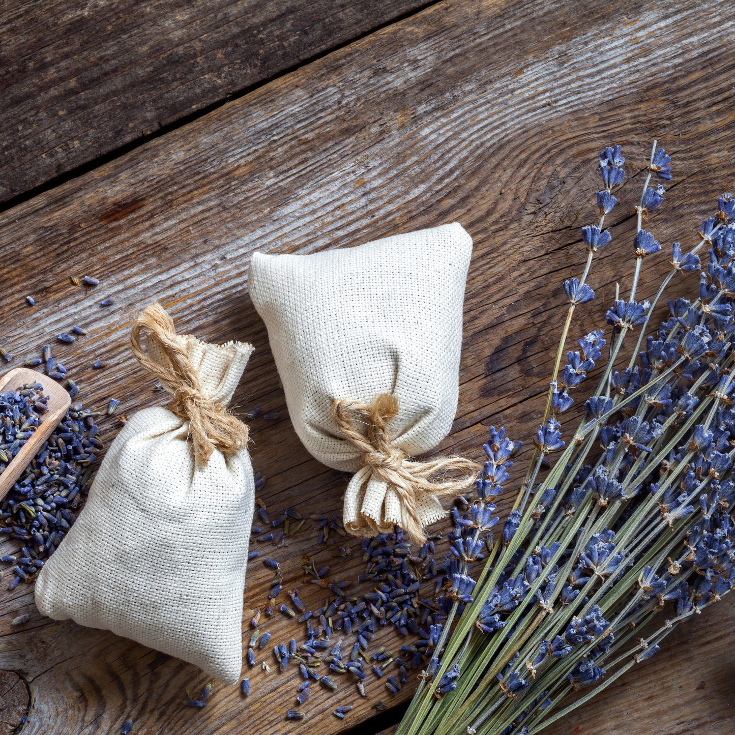 Organic French Lavender